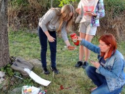 sejmik samorzadu uczniowskiego 11